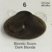6_biondo_scuro_dark_blonde