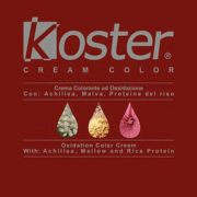 tinte_koster_color9