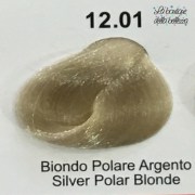 12_01_biondo_polare_argento