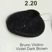 2_20_bruno_violino