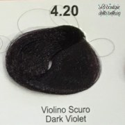 4_20_violino_scuro