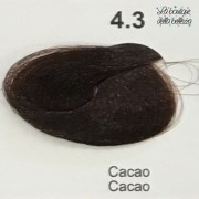 4_3_cacao