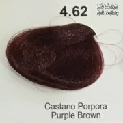 4_62_castano_porpora