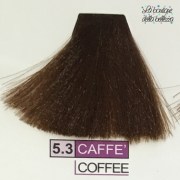 5_3_caffe