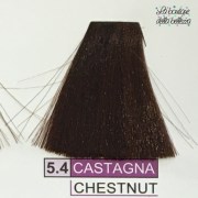5_4_castagna