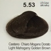 5_53_castano_chiaro_mogano_dorato