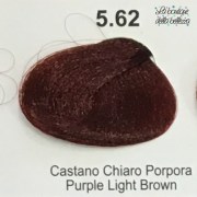 5_62_castano_chiaro_porpora