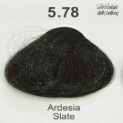 5_78_ardesia