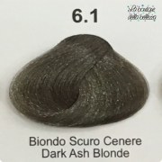 6_1_biondo_scuro_cenere