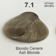 7_1_biondo_cenere